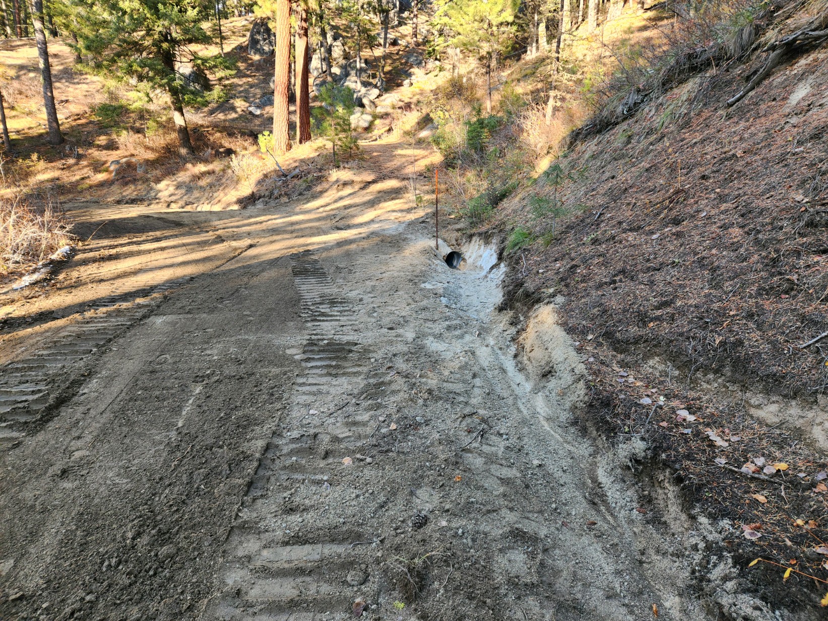 Driveways & Access