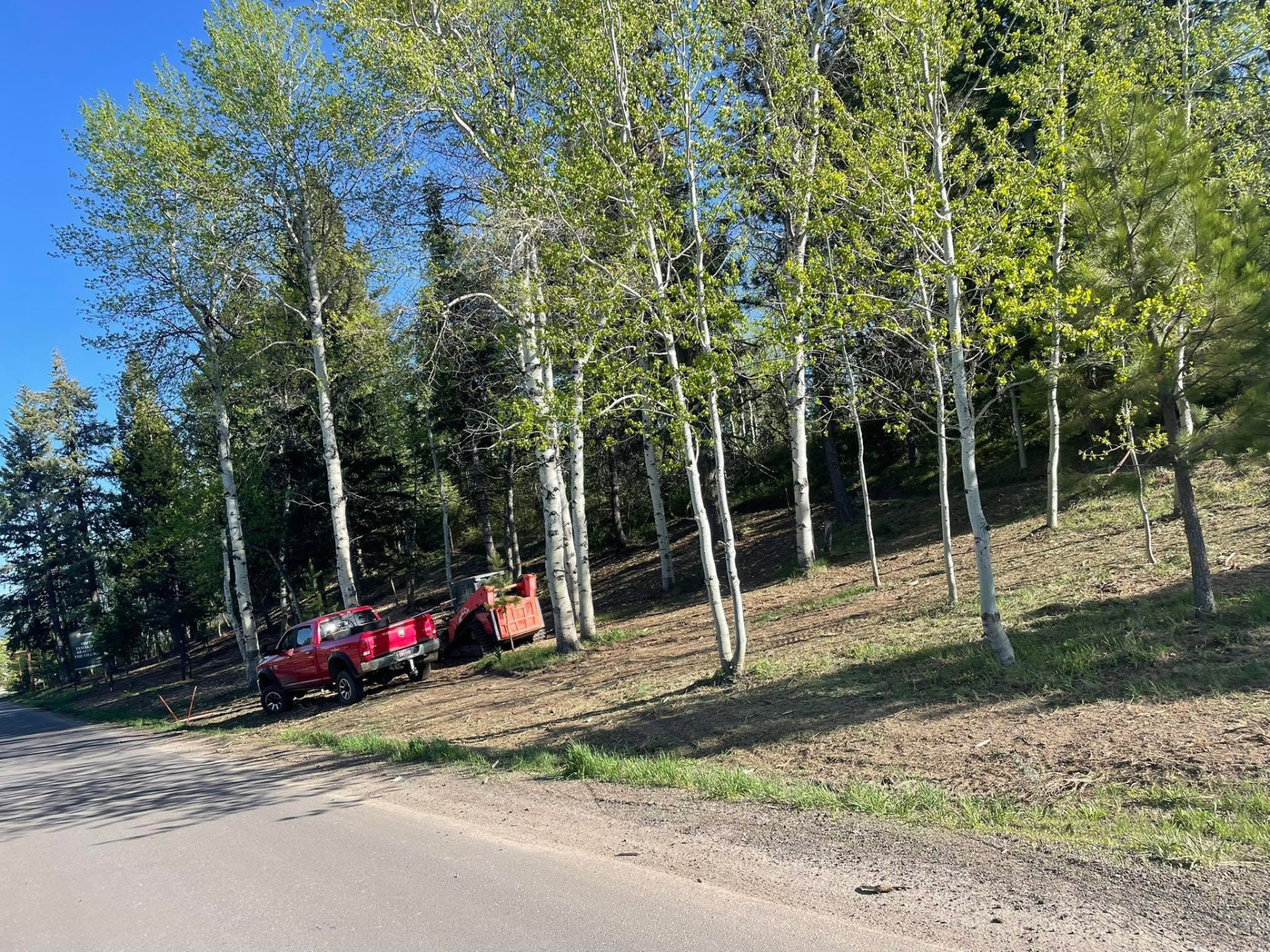Roadside brush cleared for visibility and access - after