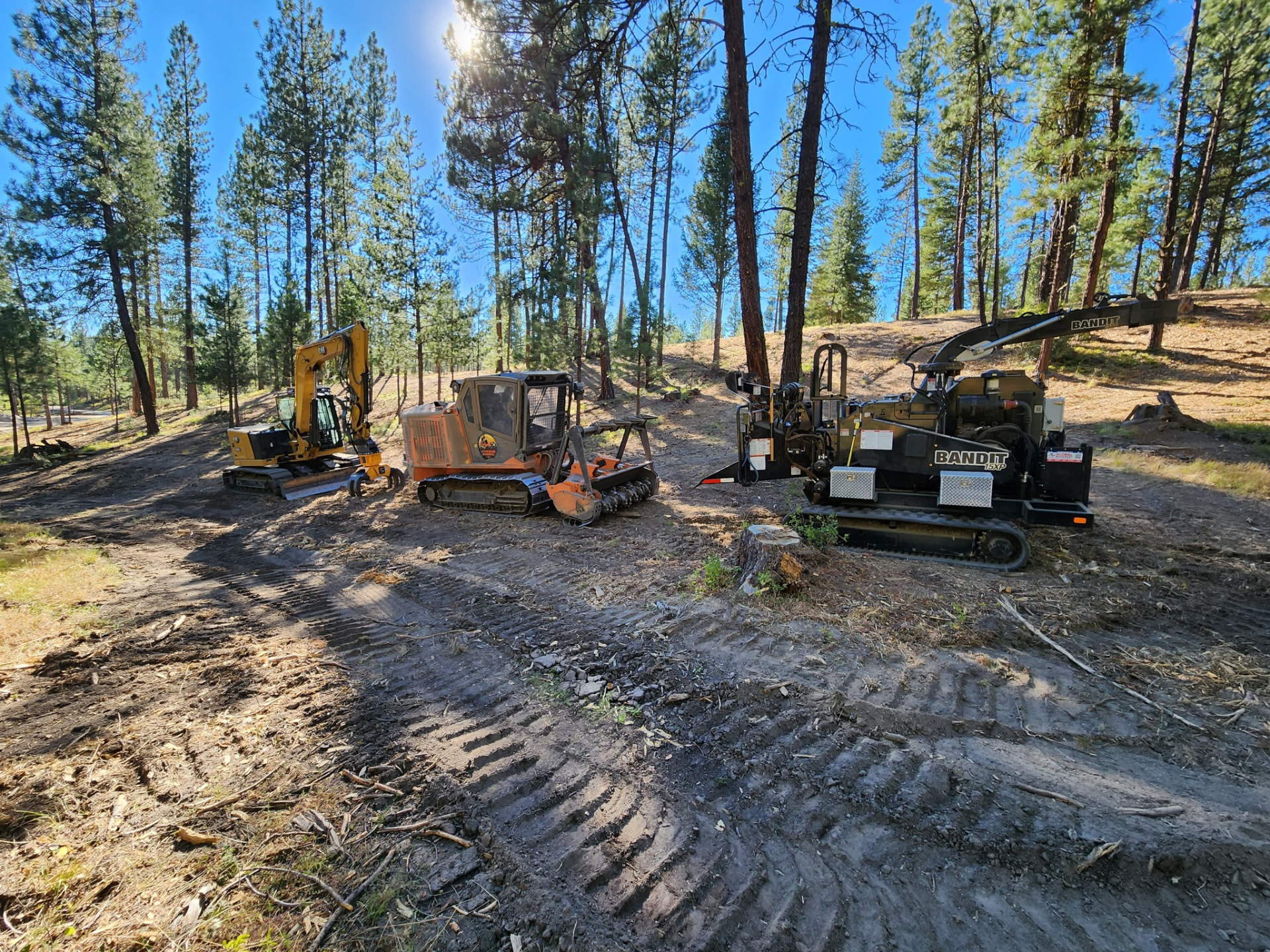 Forestry machinery clearing an access route