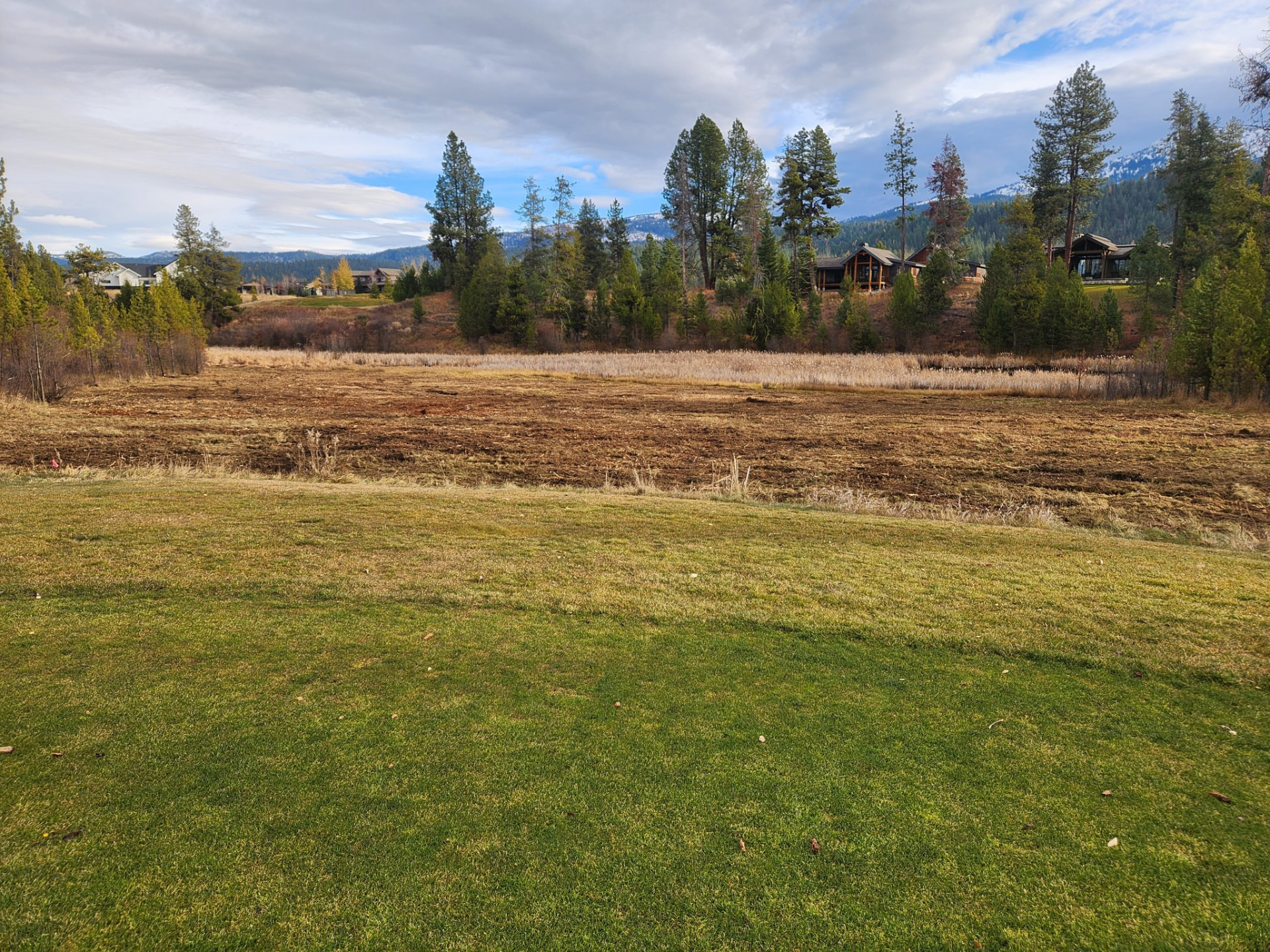 Overgrown brush to open, usable acreage - after