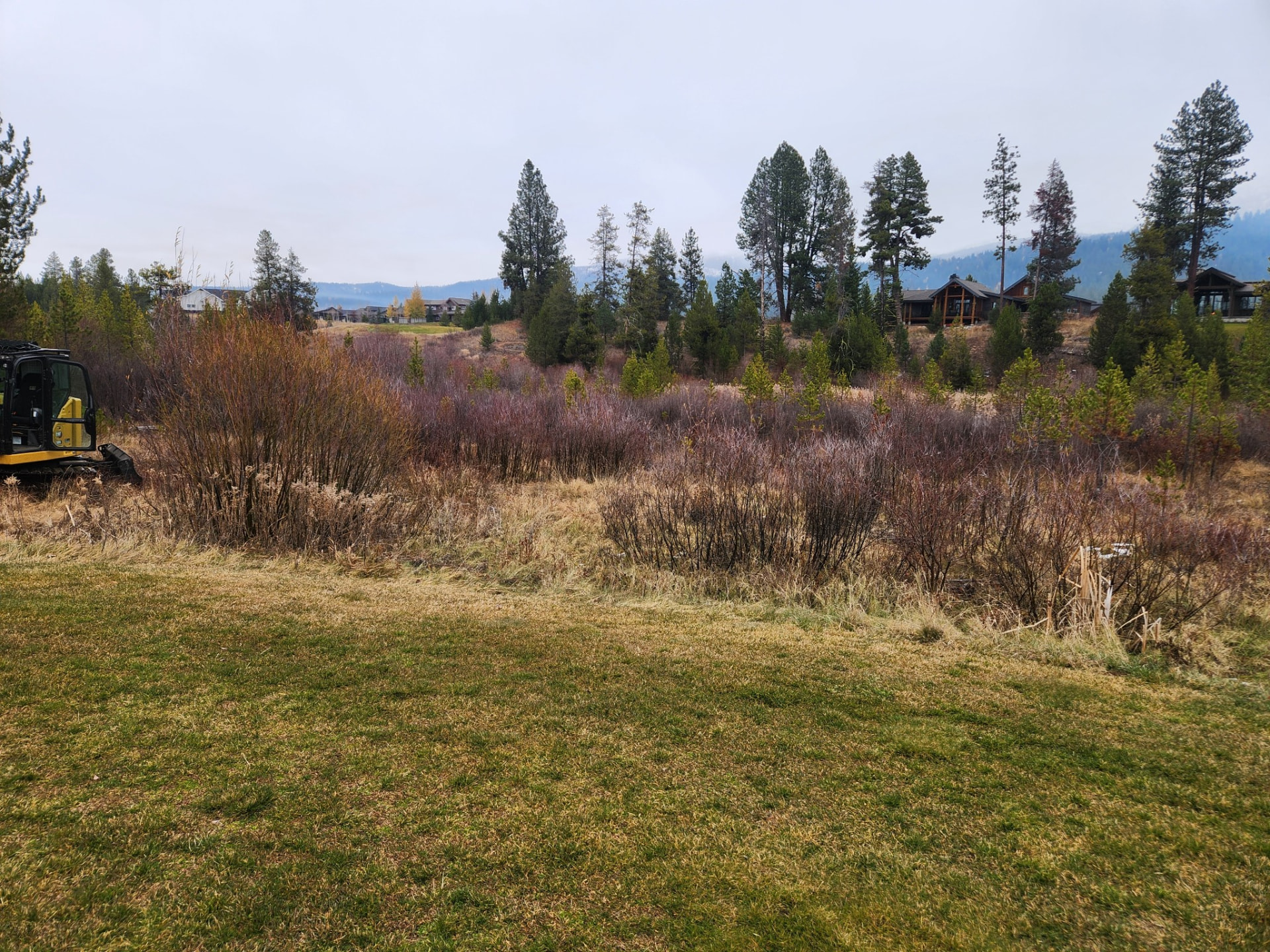 Overgrown brush to open, usable acreage - before