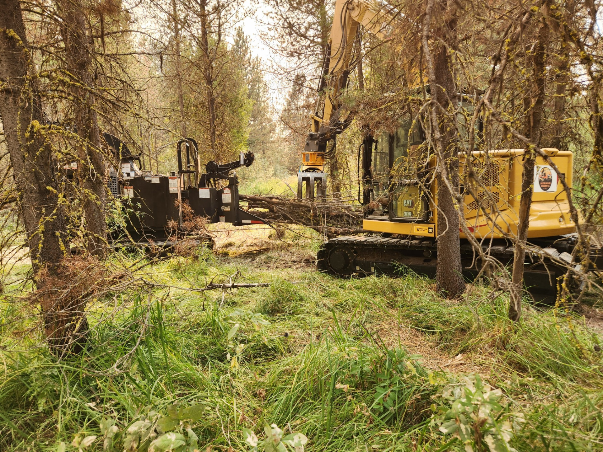 Excavator clearing timber